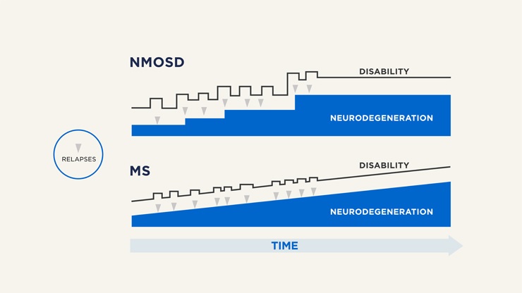NMOSD人民遭受的神经变性的数量几乎完全与复发相关。这与MS不同，这是从一开始就是一种渐进疾病，无论它如何表现出来，因为残疾往往会累积无情。